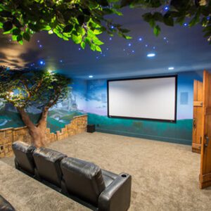 home theater decor idea