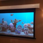 projection system gallery