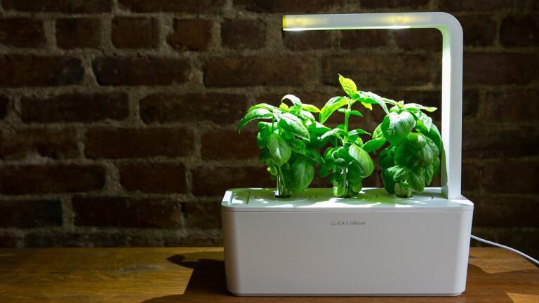 The Smart Garden 3; gift guide 2024